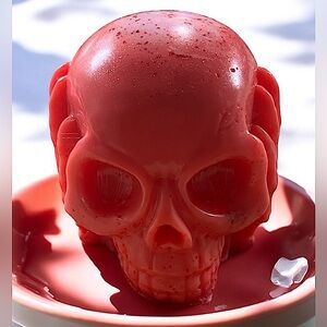 Vanilla sugar XL Skull soap handmade 5x4in 13oz shea butter & 100% plant base